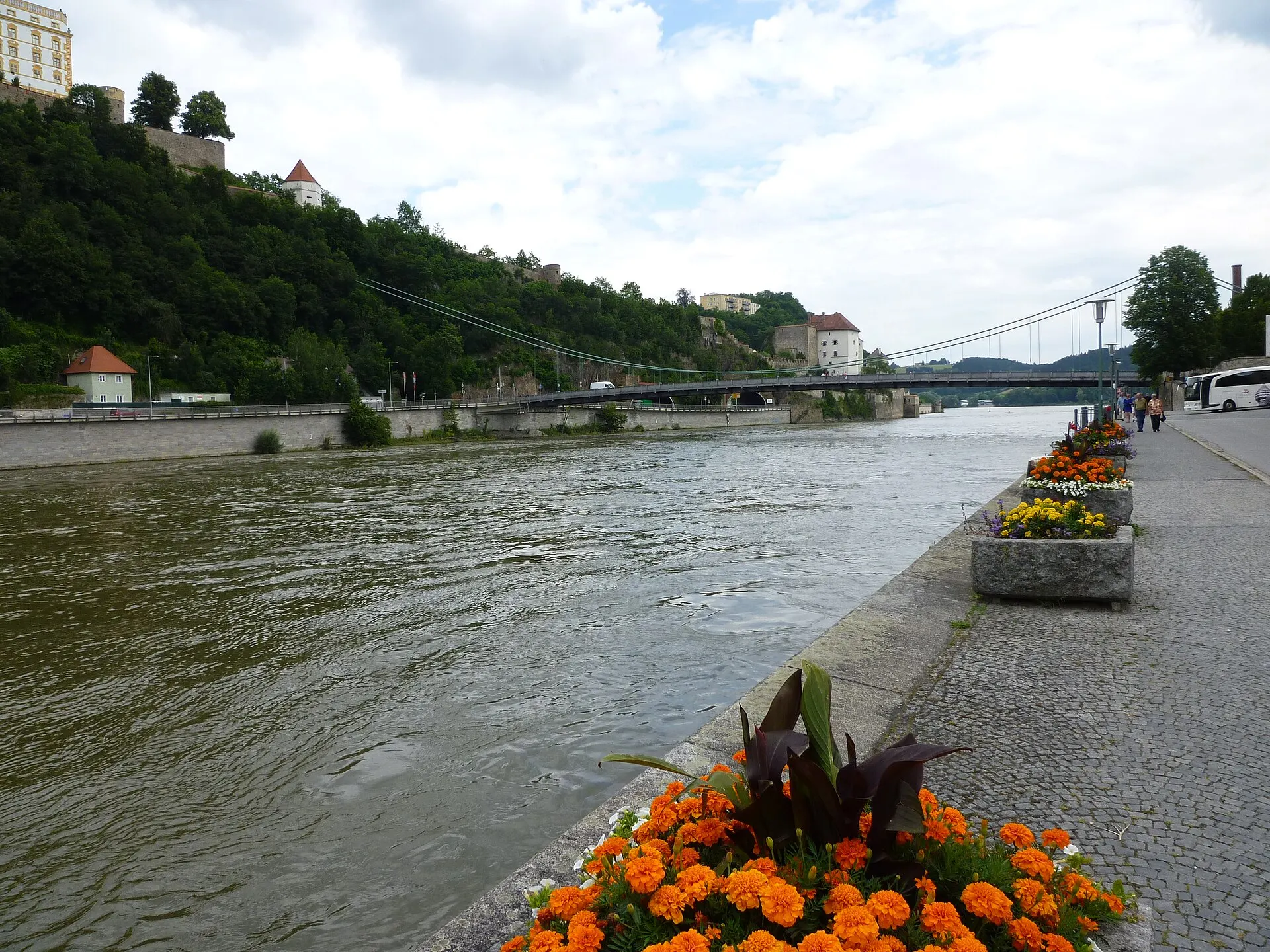 Donautal bei Passau mit Fluss und Uferlandschaft